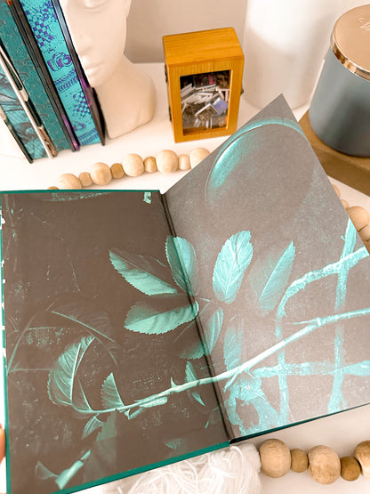 Bad Intentions by Mila Kane (Baddies Exclusive Edition, Signed)