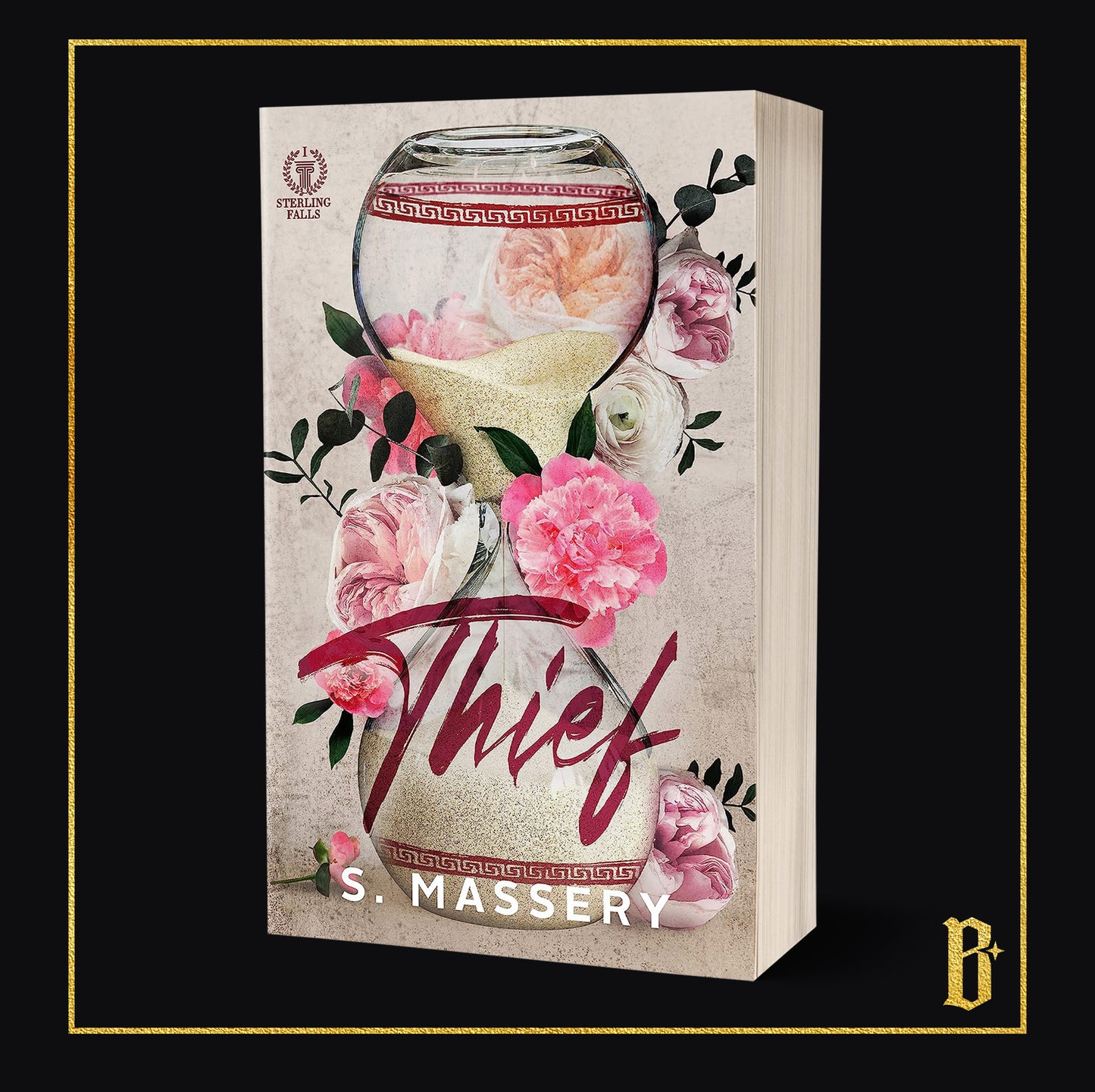 Thief by S. Massery