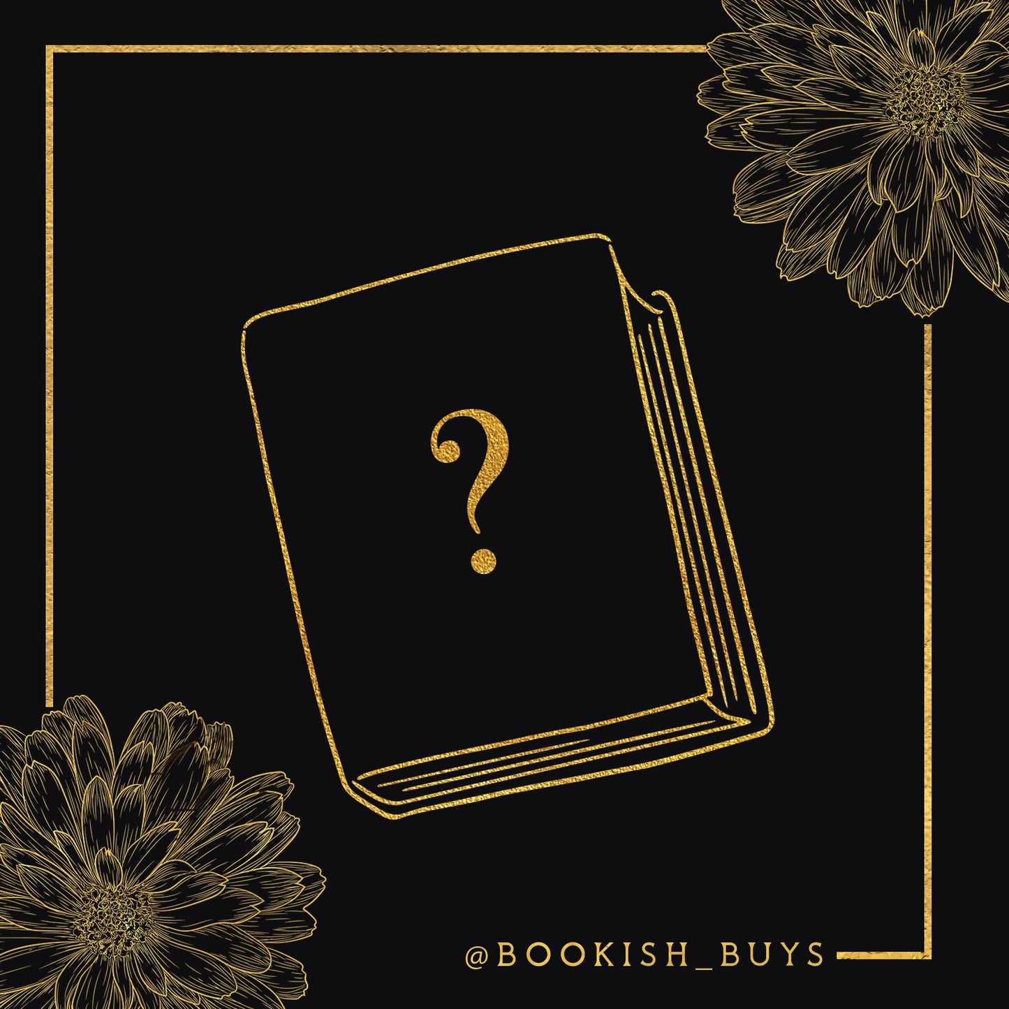 3 Book Mystery Box