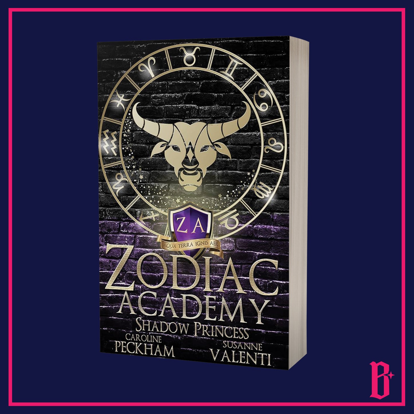 Zodiac Academy Series by Caroline Peckham and Susanne Valenti